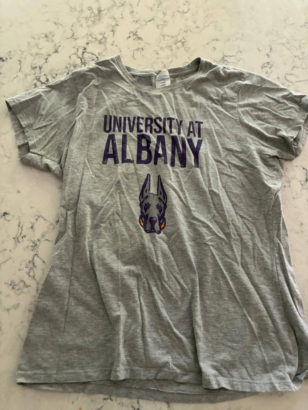 University at Albany Grey Graphic T-Shirt